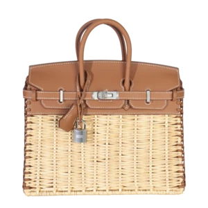 2025 Hermès Birkin 25 Picnic